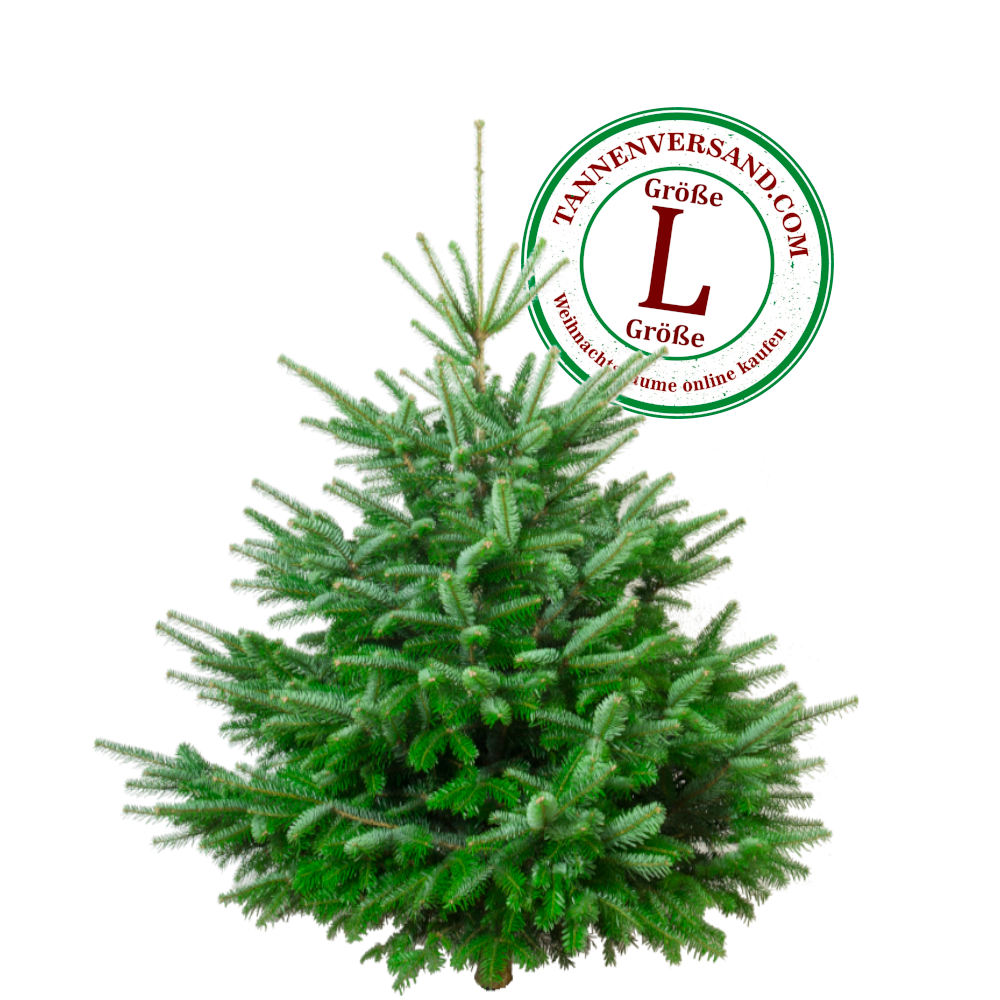 buy-the-worlds-best-weihnachtsbaum-nordmanntanne-l-150-175-cm-online-sale_0.png