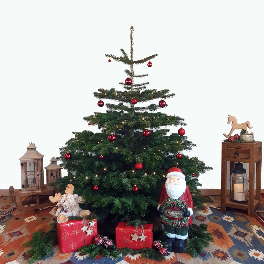 buy-the-worlds-best-weihnachtsbaum-nordmanntanne-l-150-175-cm-online-sale_1.jpg