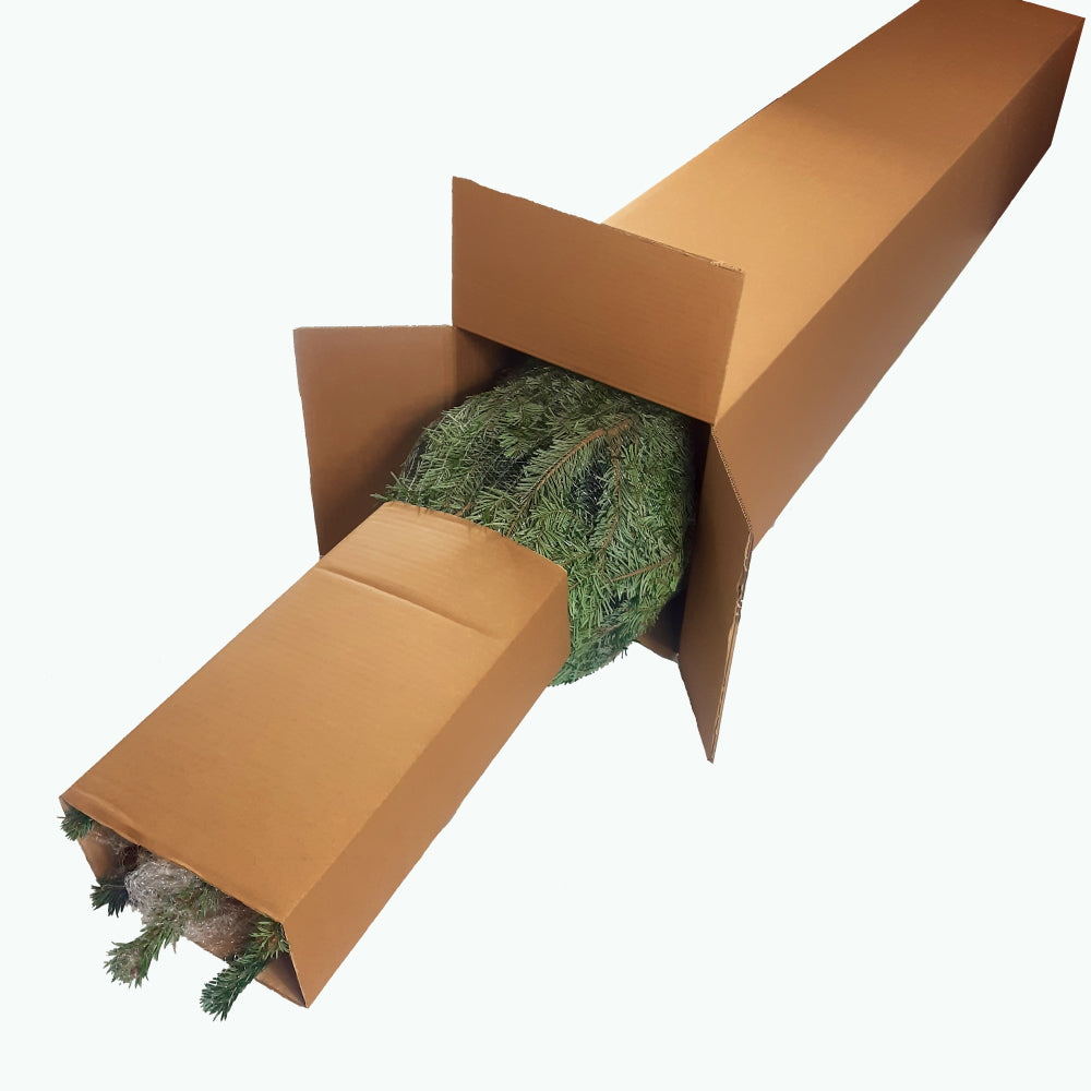 buy-the-worlds-best-weihnachtsbaum-nordmanntanne-l-150-175-cm-online-sale_2.jpg