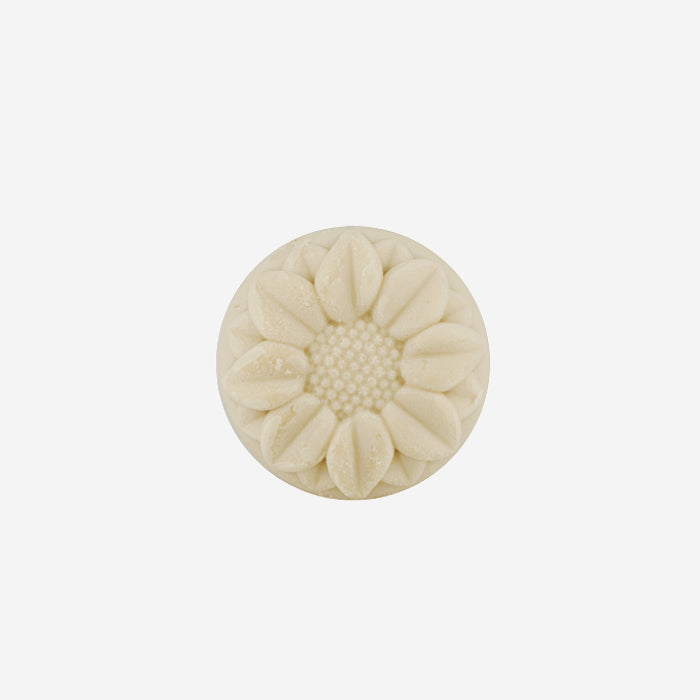 welcome-to-buy-solid-conditioner-rich-rose-red-60g-or-25g-online-hot-sale_2.jpg